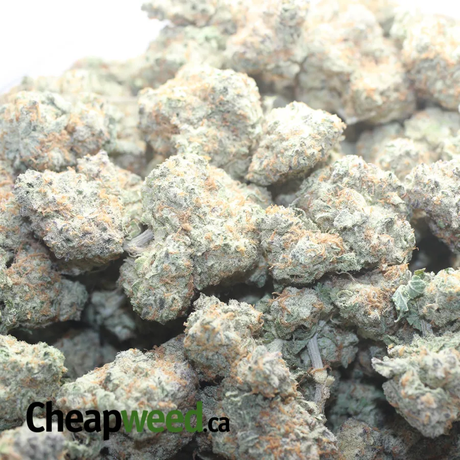 Frosty Flakes - Image 3