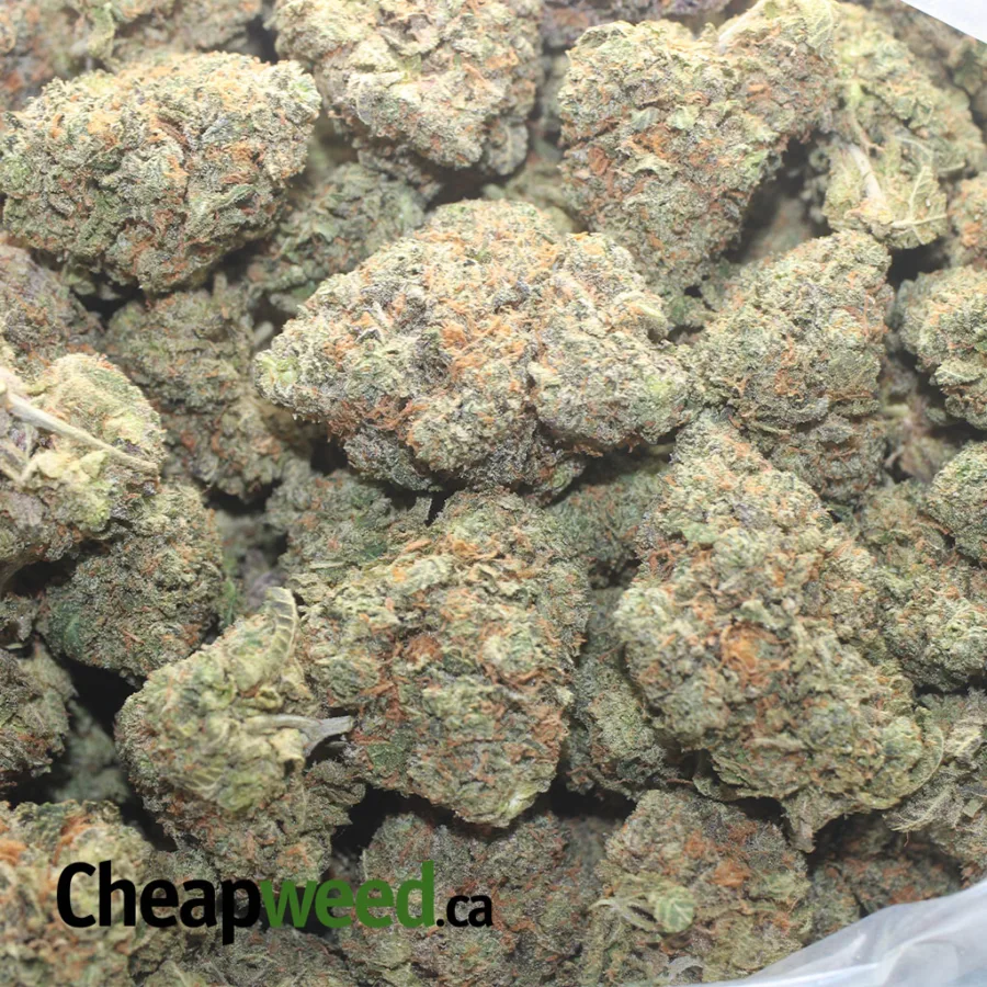 $49 Oz - Fruit Punch - Image 3
