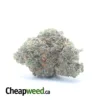$49 Oz - Fruit Punch