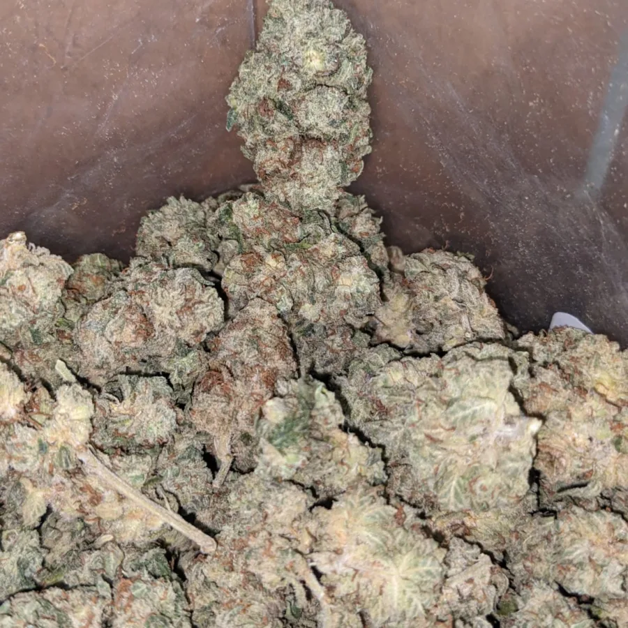 Frosty Flakes - Image 3