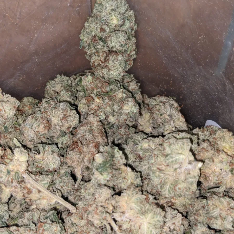 Alternative view of Frosty Flakes