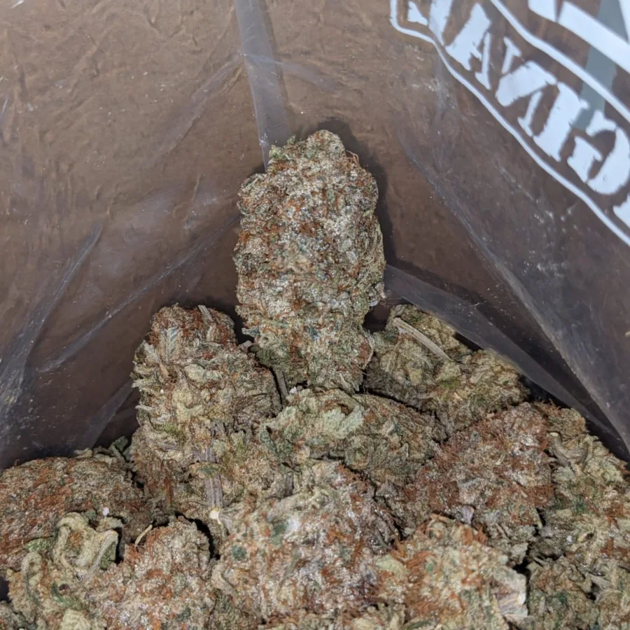 Frosty Pink - Image 5