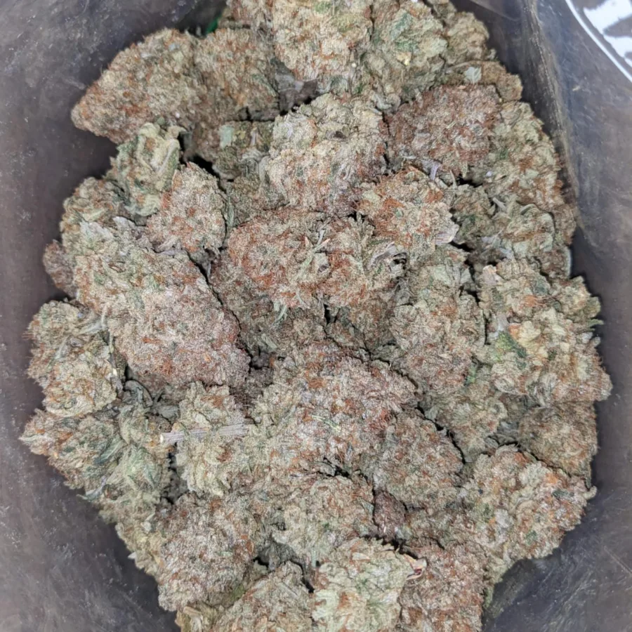 Frosty Pink - Image 7