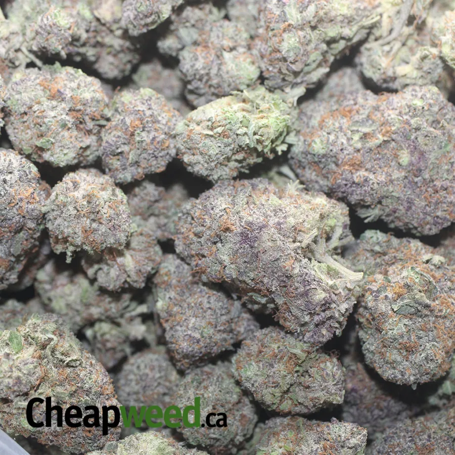 God's Green Crack - Image 3