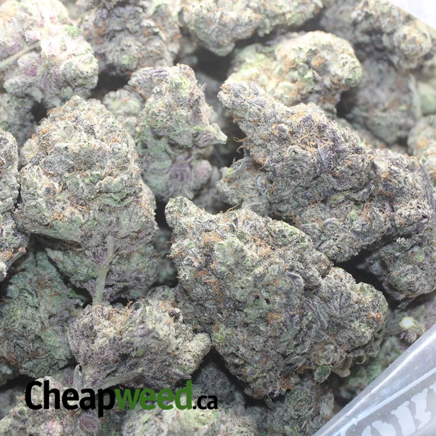 Granddaddy Purple - Image 3