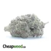 Granddaddy Purple