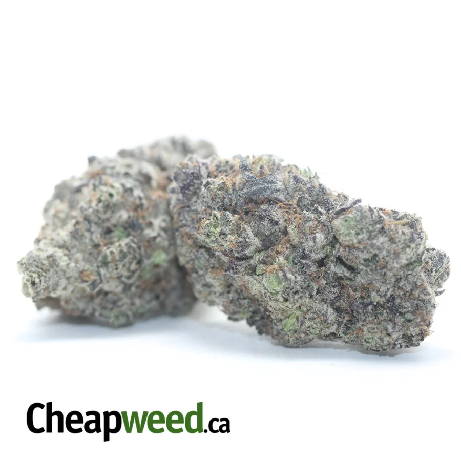 Granddaddy Purple - Image 2