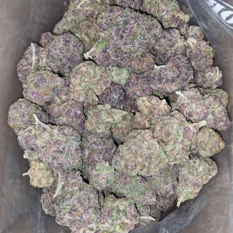Granddaddy Purple