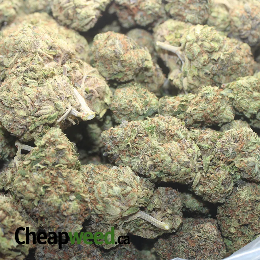 Hippie Crippler - Image 3