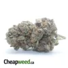 Jetfuel Gelato