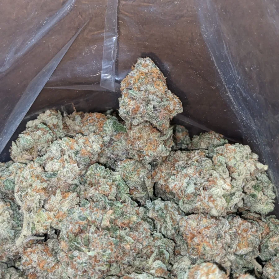 Alternative view of Jack Herer