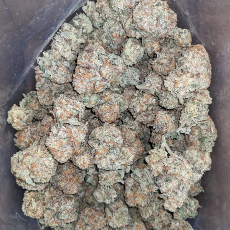 Jack Herer