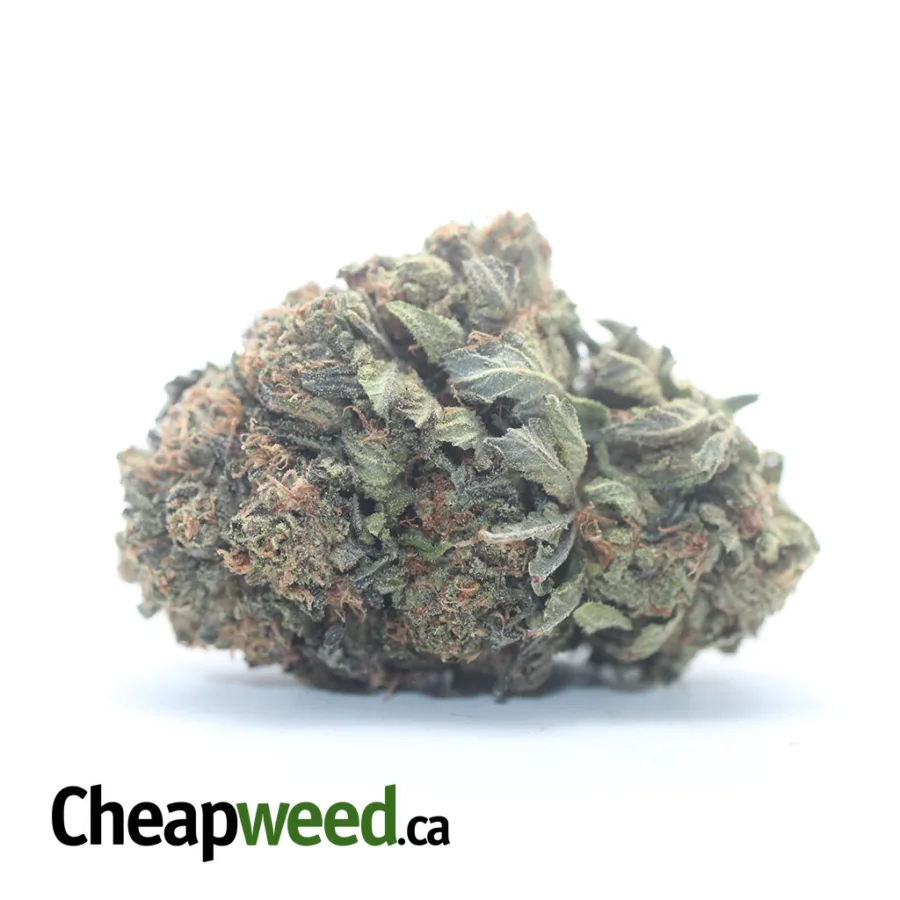 King Bubba Kush