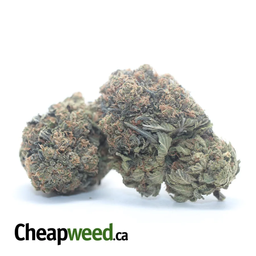 Alternative view of King Bubba Kush