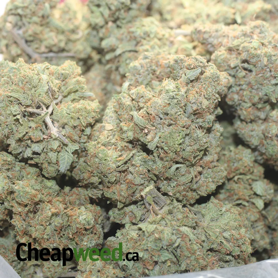 Lemon Cherry Gelato - Image 3