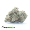 $40oz Mataro Blue