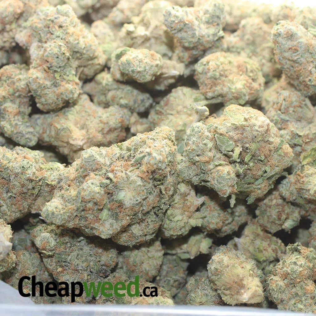 $40oz Mataro Blue - Image 3