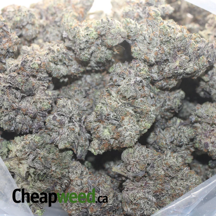 MK Ultra AAAA - Image 3