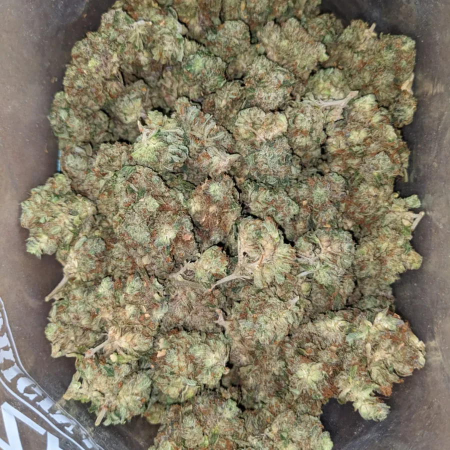 Northern Lights