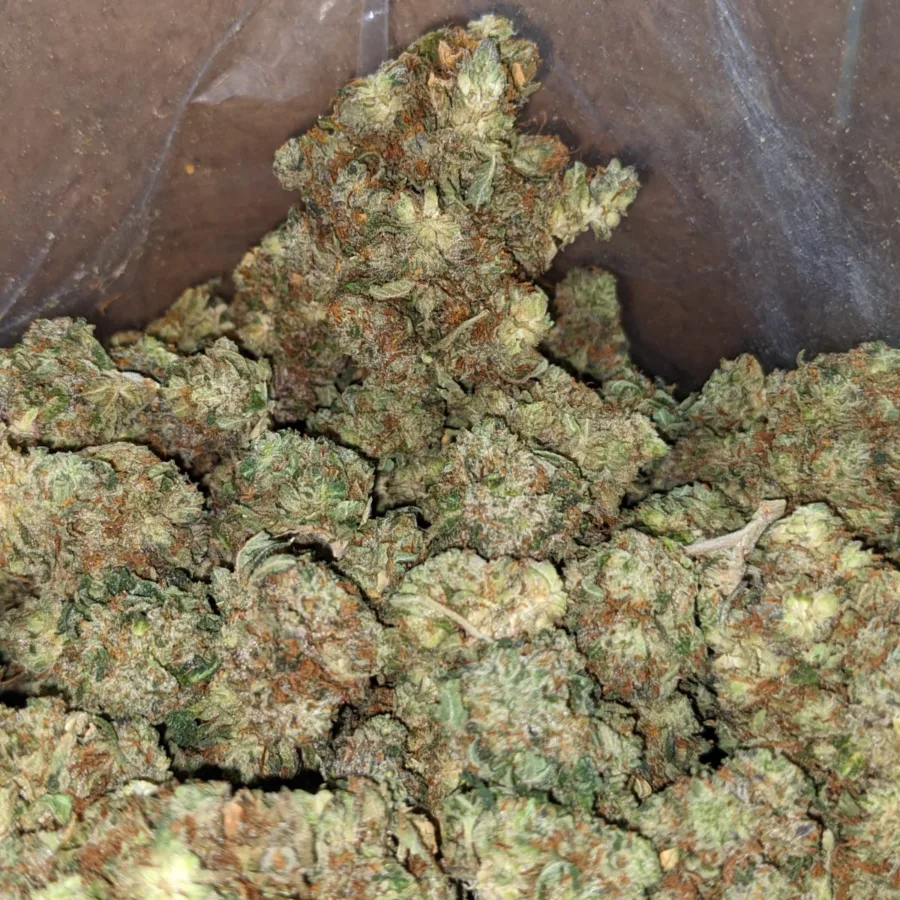 Northern Lights - Image 7