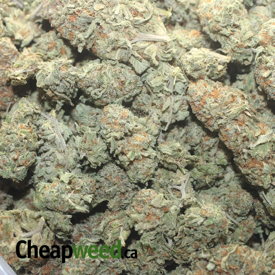 Orange Crack - Image 3