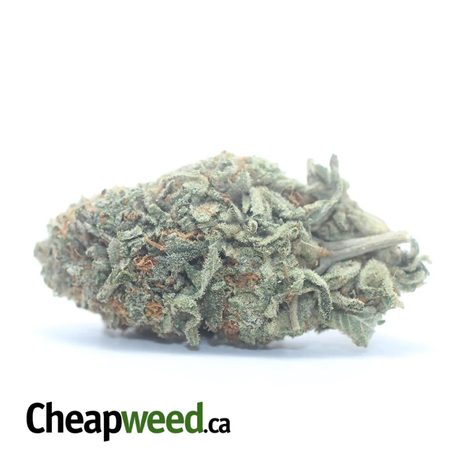 Orange Crack