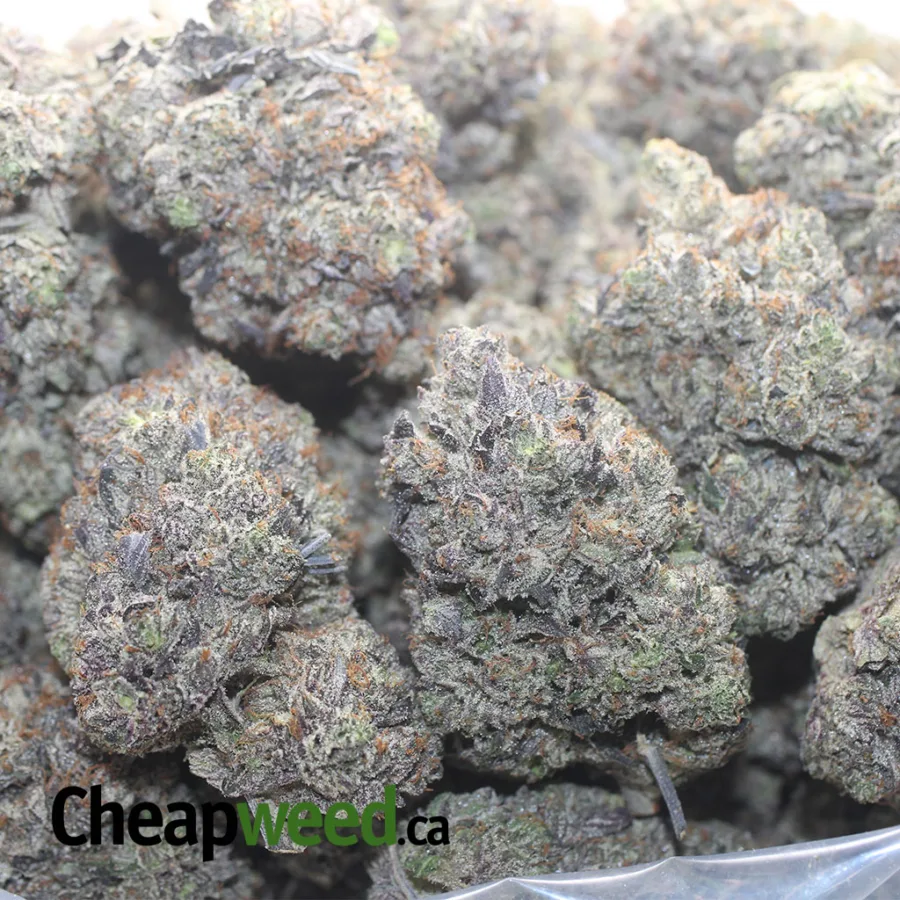 Pink Frost - Image 3