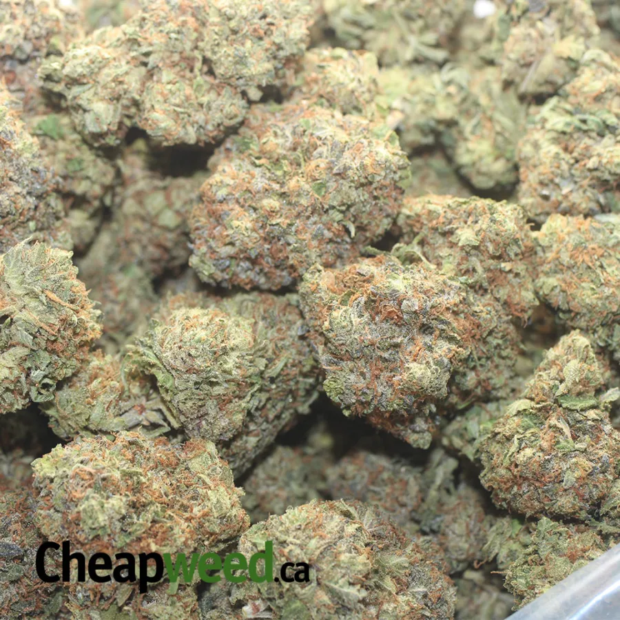 Pink OG - Image 3