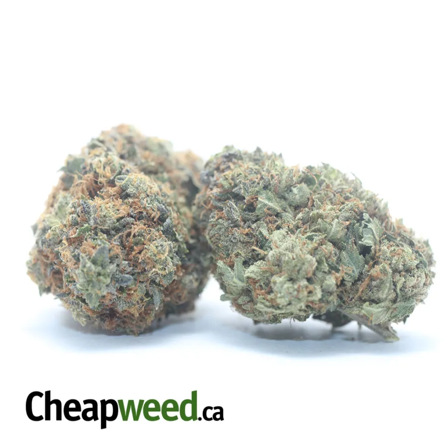 Alternative view of Pink OG