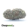 Purple Berry