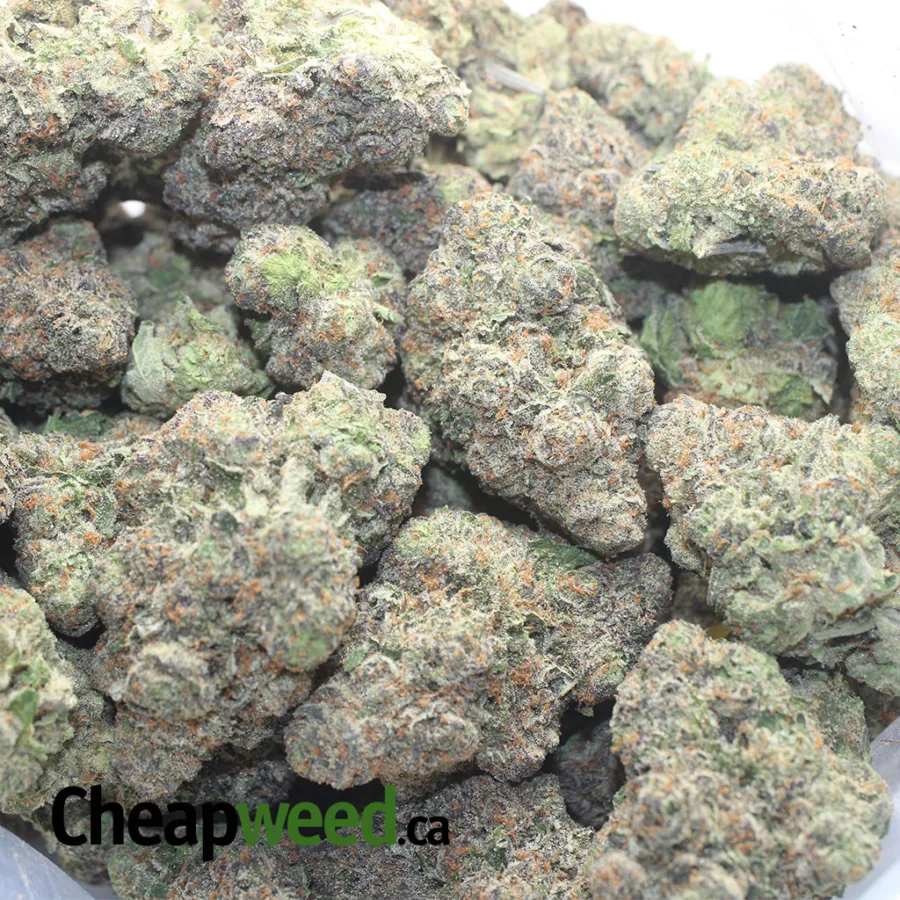 Purple Pop Rocks - Image 3
