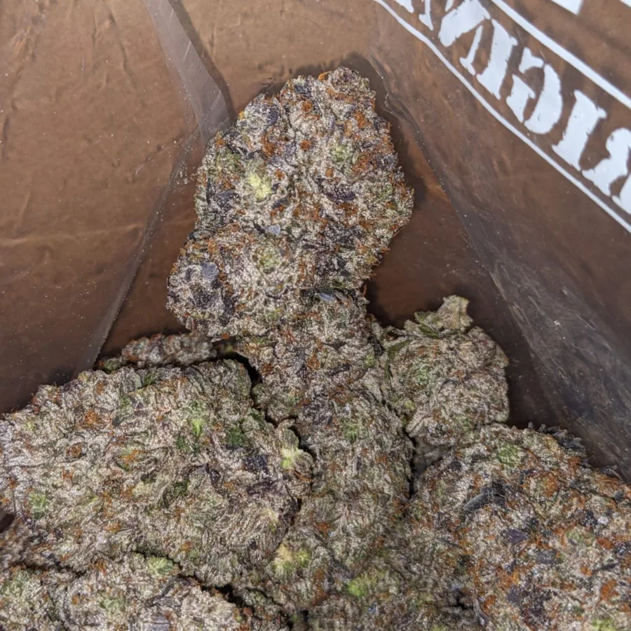 Pink Frost - Image 5