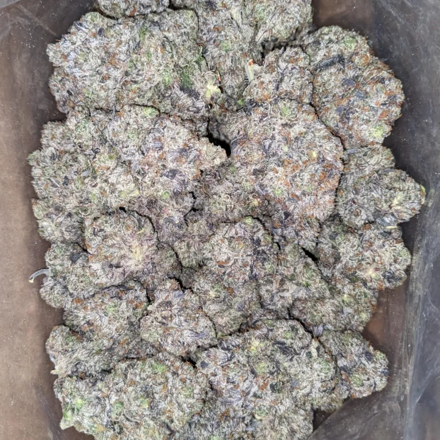 Pink Frost - Image 6