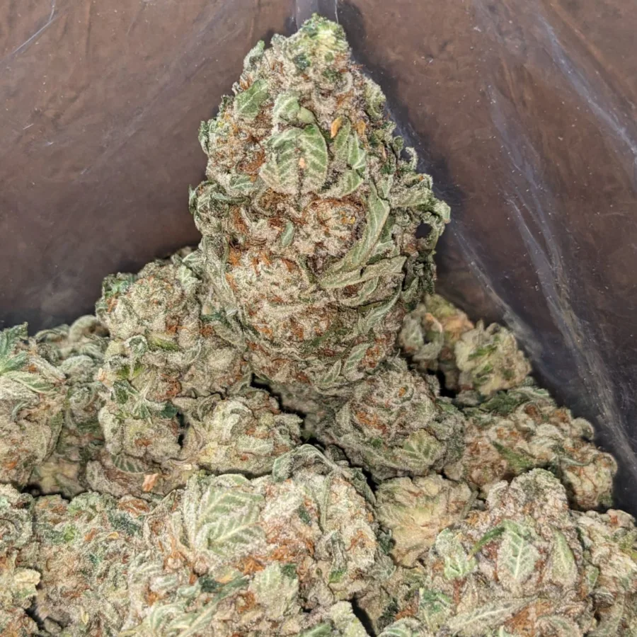 Purple OG - Image 5