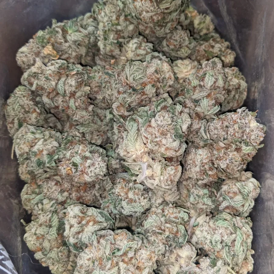 Purple OG