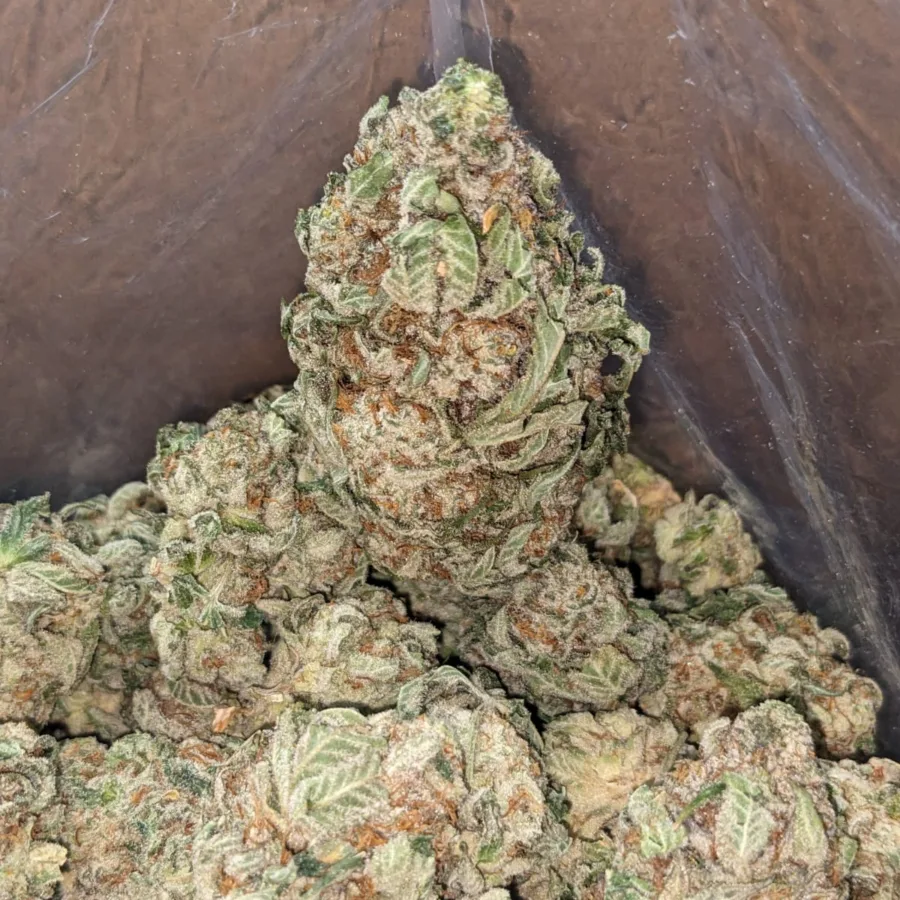 Purple OG - Image 6