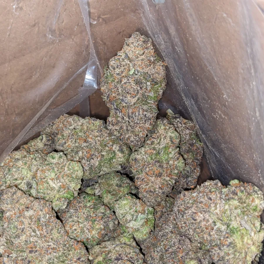 Purple Pop Rocks - Image 6
