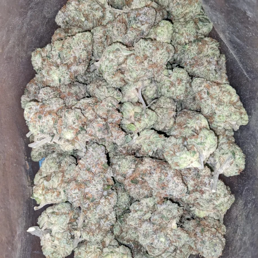 Rockstar Punch - Image 5