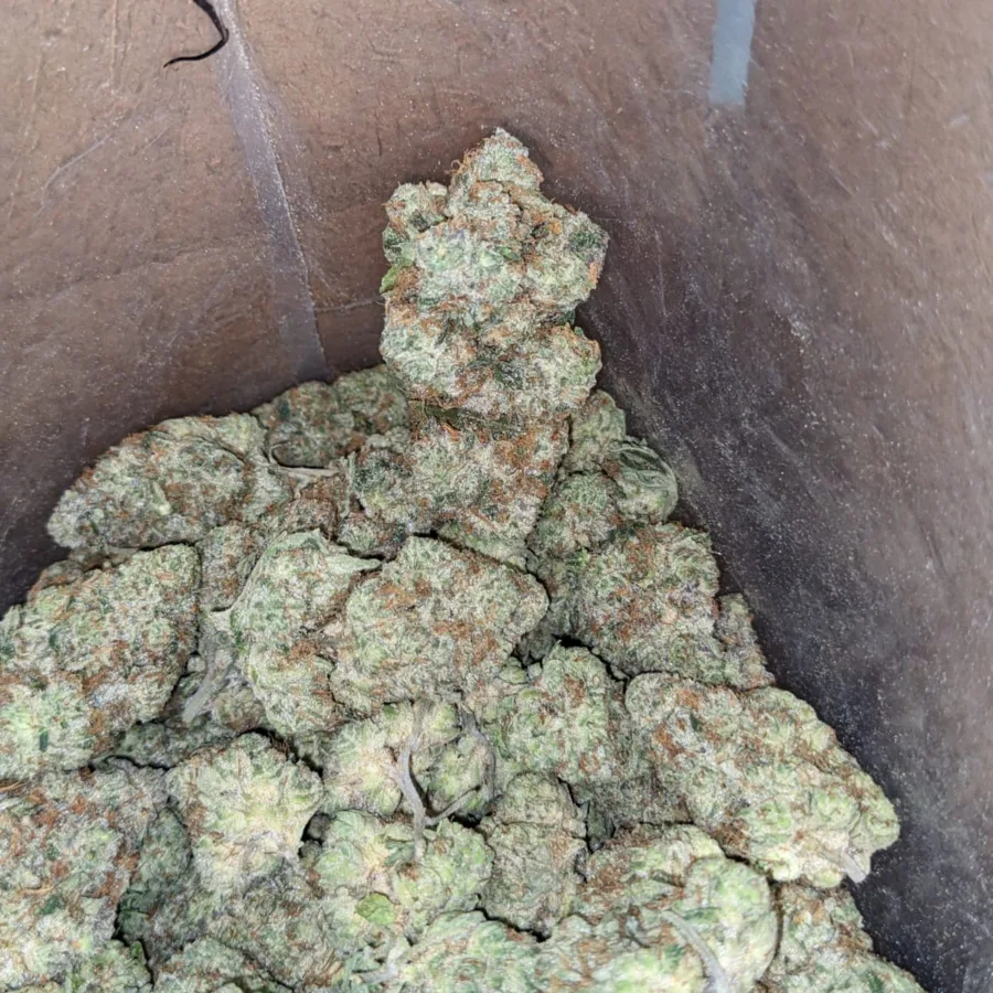 Rockstar Punch - Image 4