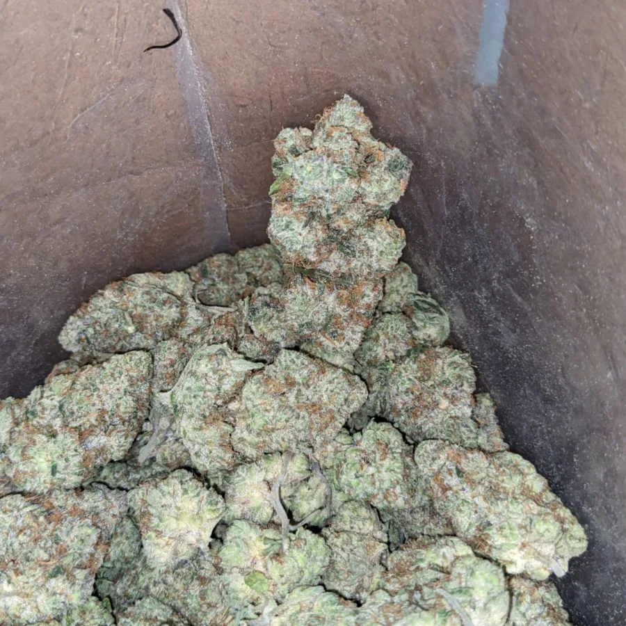 Rockstar Punch - Image 7