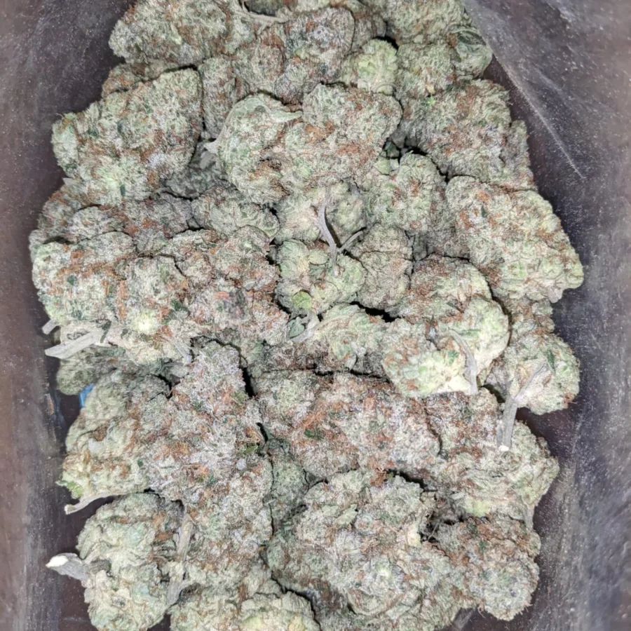Rockstar Punch - Image 6
