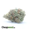 Shishkaberry