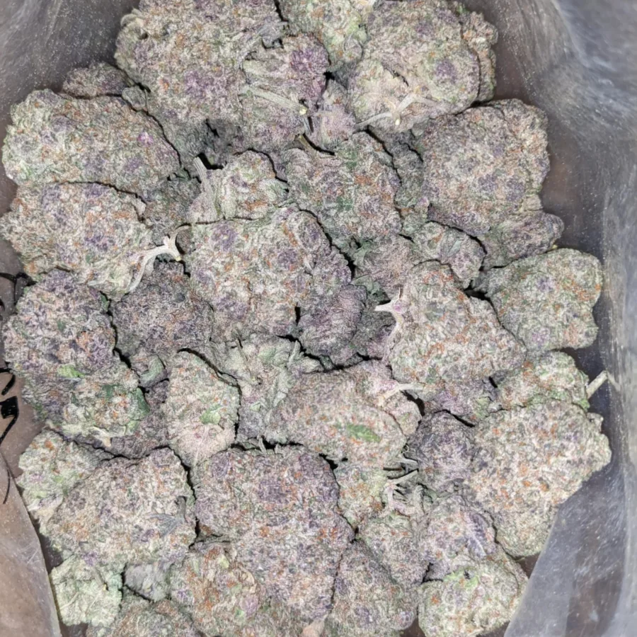 Tropicana Punch - Image 5