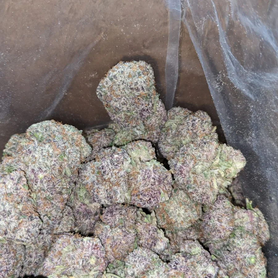 God's Green Crack - Image 6
