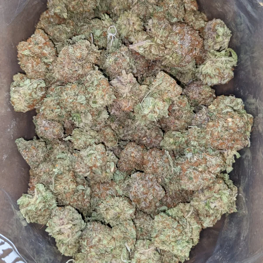 Alternative view of Tony's Rockstar