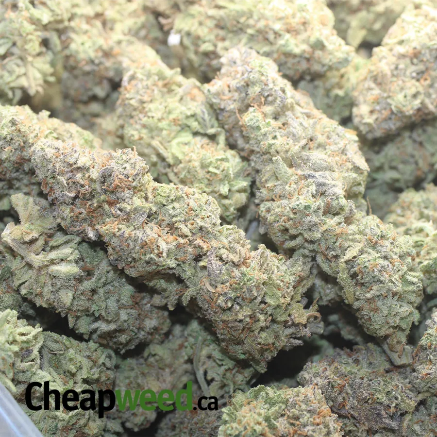 $ 65 Oz - 33 Degrees - Image 3