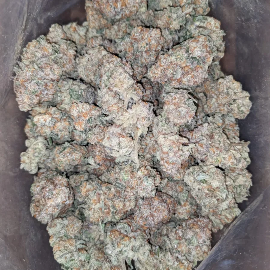 $49oz Jack Herer - Image 5