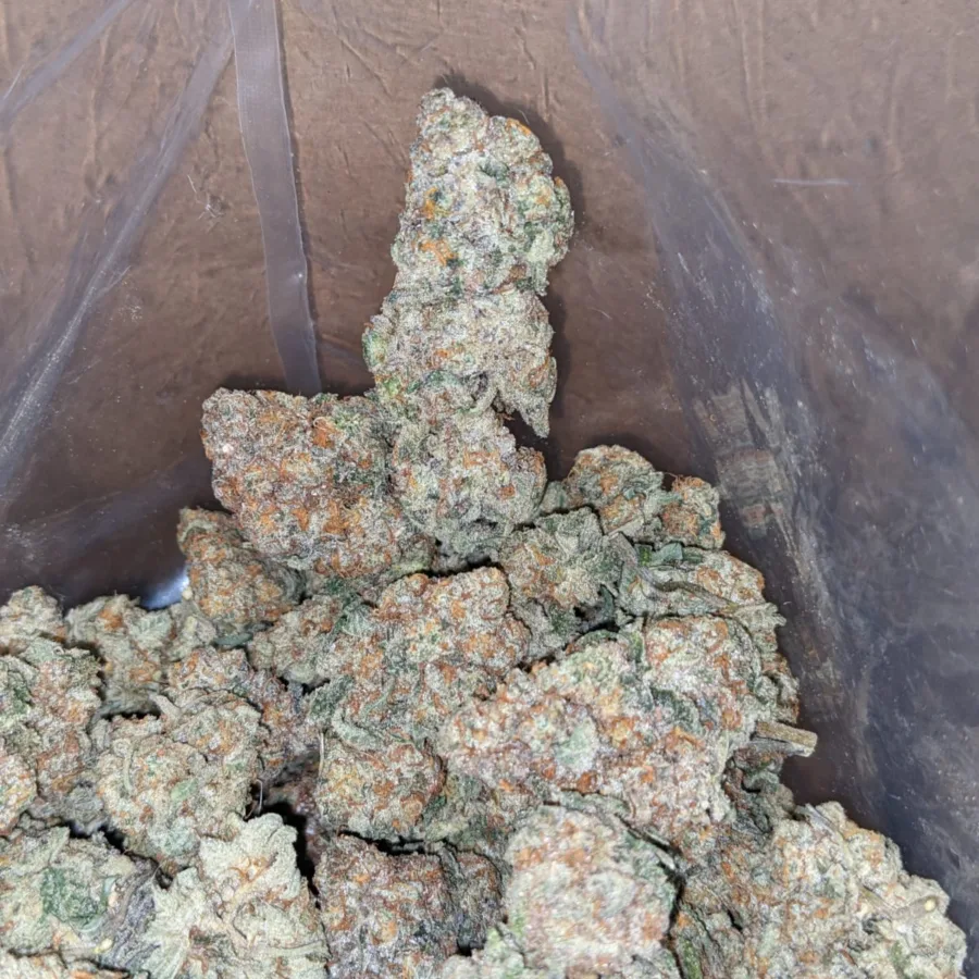 Alternative view of $49oz Jack Herer