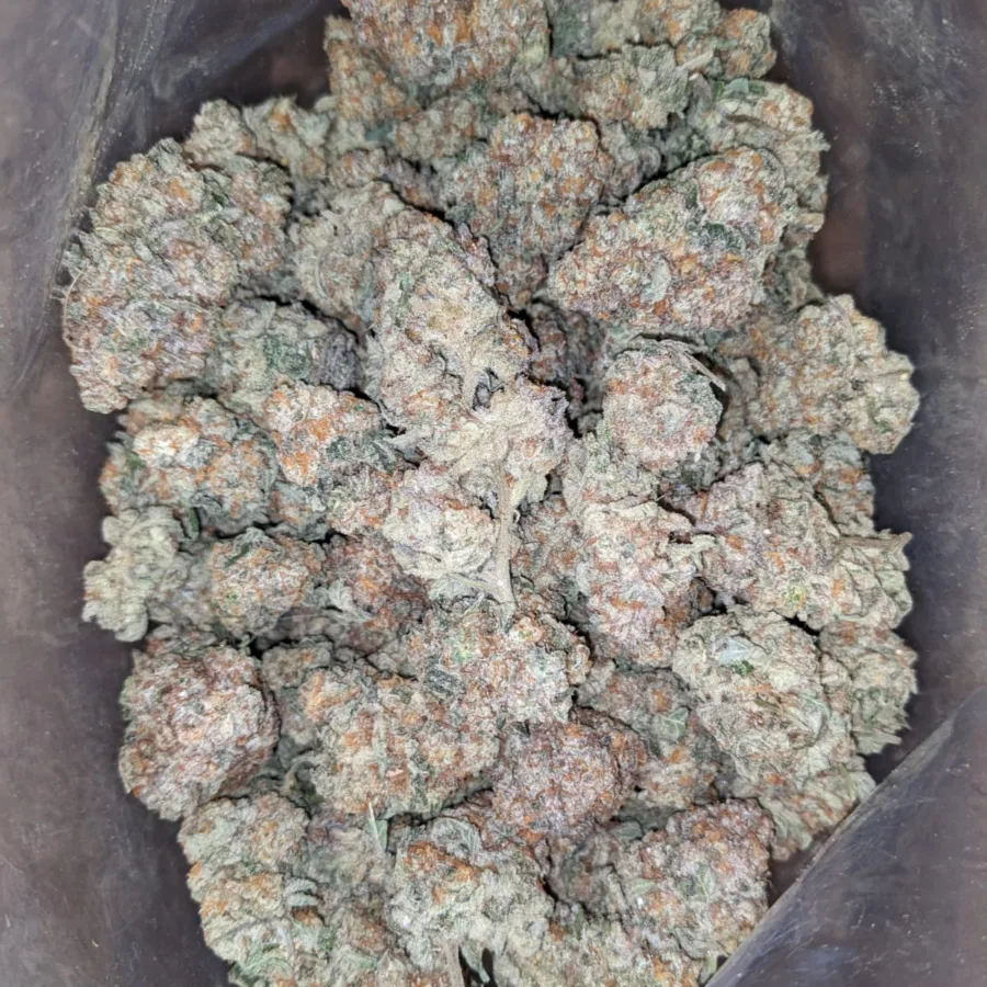 $49oz Jack Herer