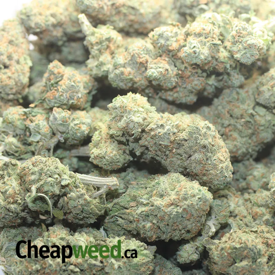 Alaskan ThunderFuck - Image 3